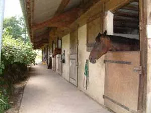 Centre Equestre des Bauges à Lescheraines, Savoie (73)