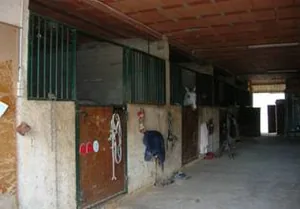 Centre Equestre des Verries à Saint-Gély-du-Fesc, Hérault (34)