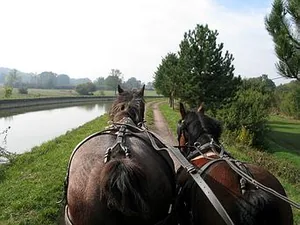 Centre de Promotion du Cheval de Trait Auxois à Bierre-lès-Semur, Côte-d'Or (21)