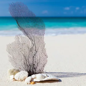Centre de Thérapie Ethnique à Épinac, Saône-et-Loire (71)