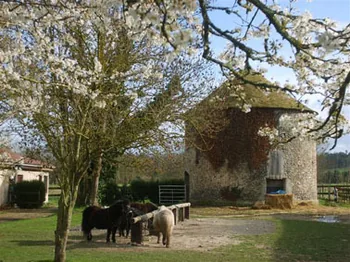 Centre Équestre du Clos à Saint-Aquilin-de-Pacy, Eure (27)