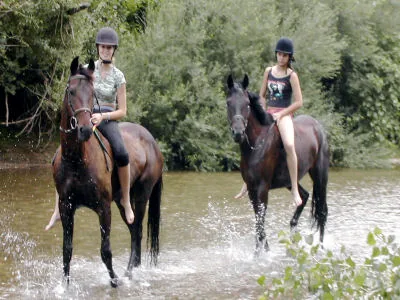 Centre Equestre des Allègres à Montauban, Tarn-et-Garonne (82)