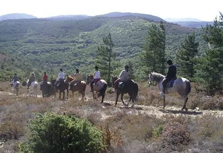 Centre Équestre - Poney Club du Pont de Calmel à Rieussec, Hérault (34)