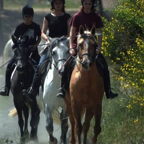 Centre Equestre de Mimet à Mimet, Bouches-du-Rhône (13)