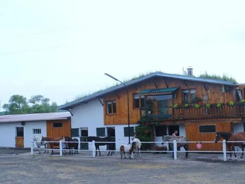 Centre Équestre la Manade à Herbéviller, Meurthe et Moselle (54)