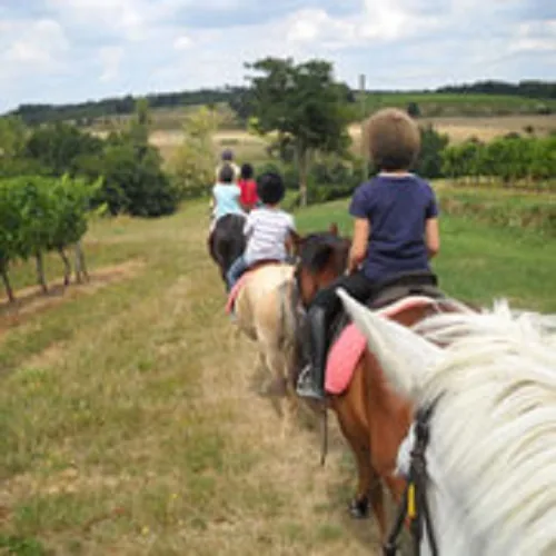 Centre Equestre La Réole à La Réole, Gironde (33)