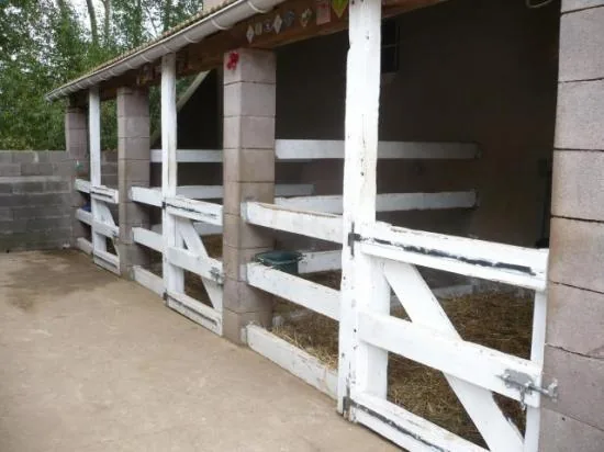 CENTRE EQUESTRE DU PATUREAU à Oriocourt, Moselle (57)