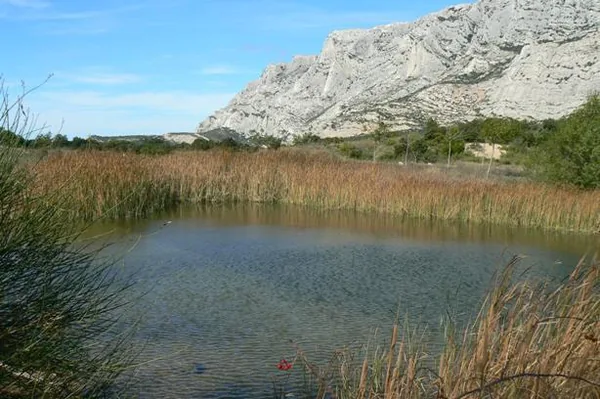 CENTRE ÉQUESTRE CLOS SAINTE VICTOIRE à Saint-Antonin-sur-Bayon, Bouches-du-Rhône (13)