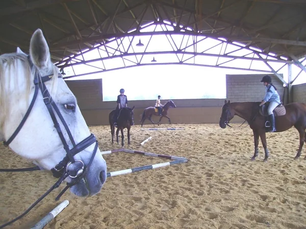Centre Equestre du Passe-temps à Dégagnac, Lot (46)