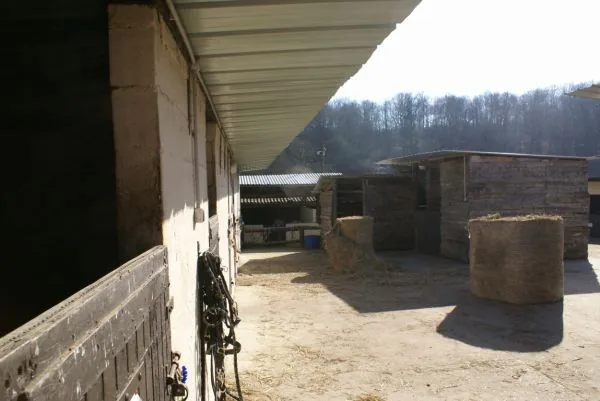 Centre Équestre et Poney Club Forêt de Merey à Merey, Eure (27)