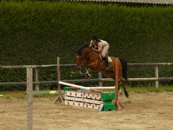 Centre Equestre l'Arche de Néo à Boissy-Lamberville, Eure (27)