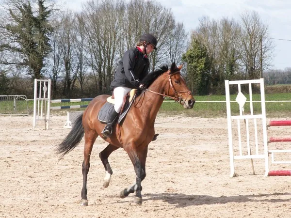 Centre équestre le Logis du Poney à Saint-Sauvant, Vienne (86)