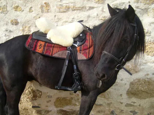 Centre National du Cheval de Merens à La Bastide-de-Sérou, Ariège (09)