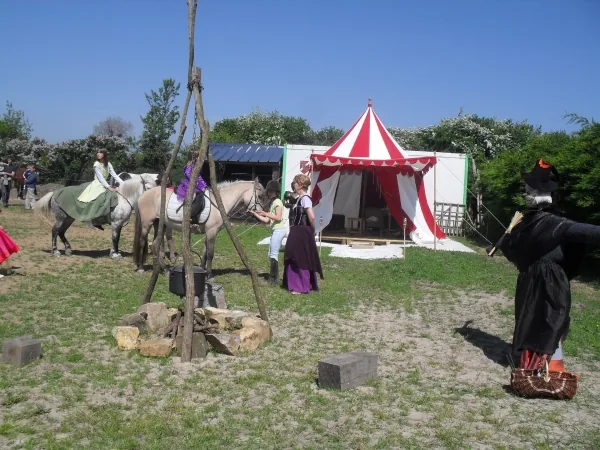 Centre Tourisme Equestre Chevaux et Anes des Mares à Bolleville, Manche (50)