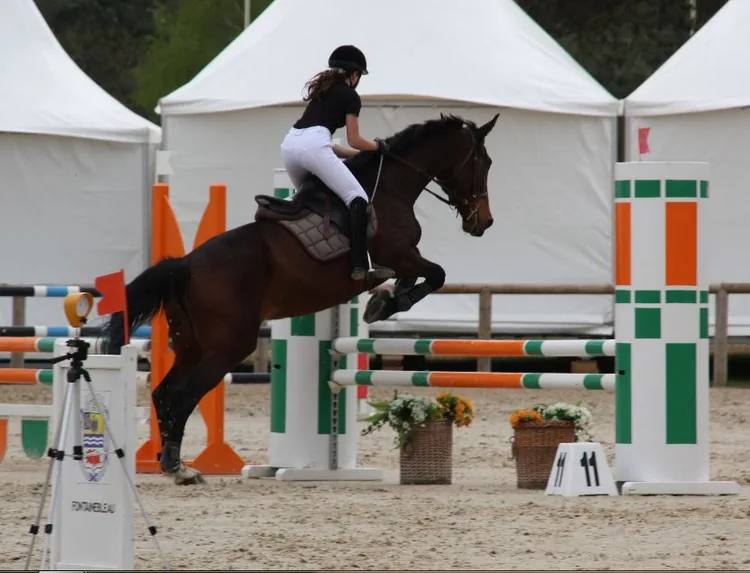 Centre Equestre à Coulommiers, Seine-et-Marne (77)