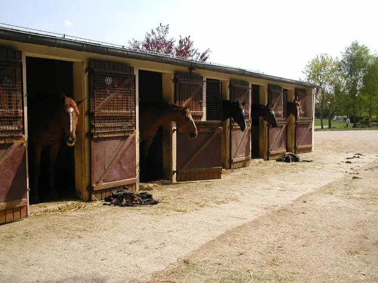 Centre équestre de la Vignotte à Arceau, Côte-d'Or (21)
