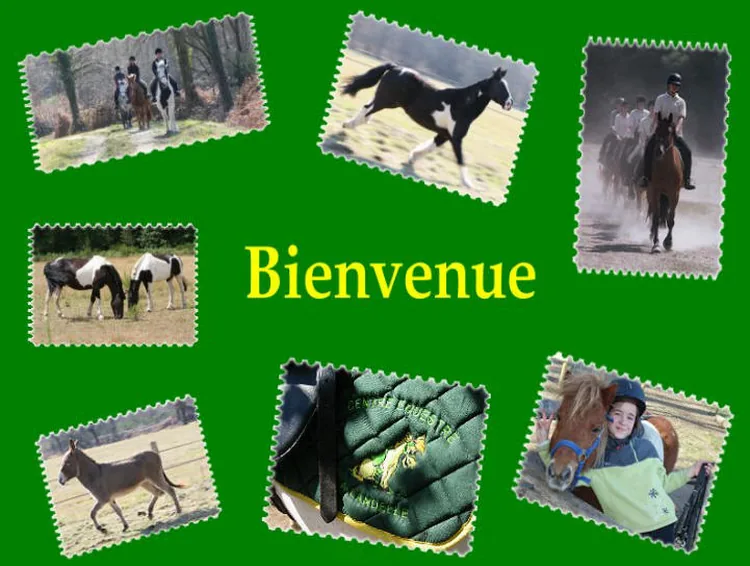 Centre équestre la Landelle à La Lande-Chasles, Maine-et-Loire (49)