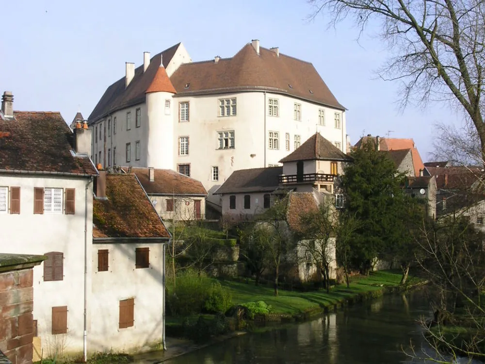 CHATEAU DE FENETRANGE à Fénétrange, Moselle (57)