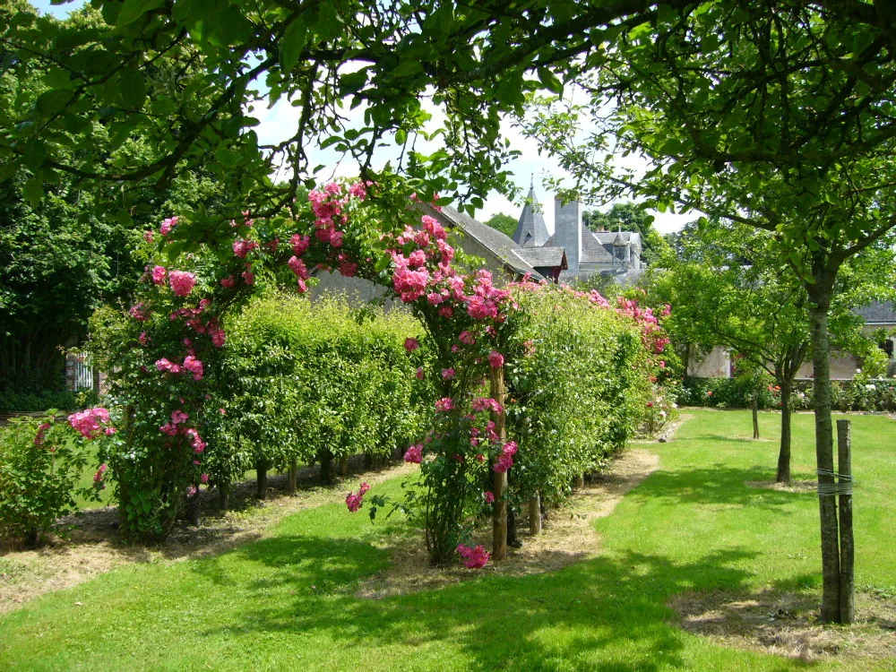 Chateau de la Montchevalleraie à Aviré, Maine-et-Loire (49)