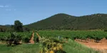 Chateau la Jeannette à Hyères, Var (83)