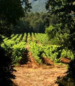 Château Ferry Lacombe à Trets, Bouches-du-Rhône (13)