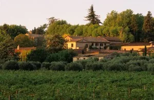 Chateau Sainte Roseline à Les Arcs, Var (83)