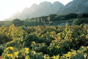 Château Romanin à Saint-Rémy-de-Provence, Bouches-du-Rhône (13)