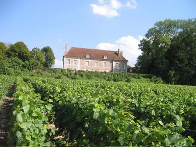 Château de Béru à Béru, Yonne (89)