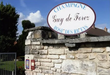 Champagne Guy de Forez à Les Riceys, Aube (10)