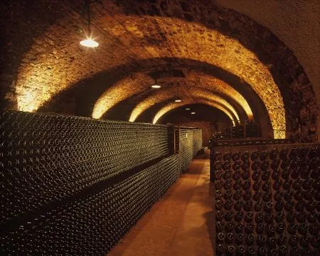 Champagne Sanchez Collard à Vertus, Marne (51)