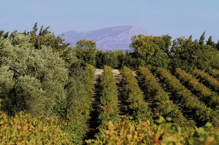 Château Virant à Lançon-Provence, Bouches-du-Rhône (13)