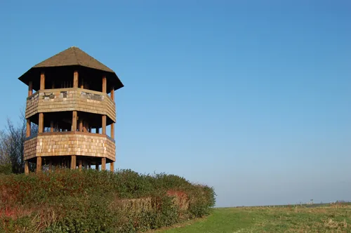 Champ de Bataille à Crécy-en-Ponthieu, Somme (80)