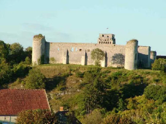 Château-Fort des Comtes d'Auxerre et de Nevers à Druyes-les-Belles-Fontaines, Yonne (89)