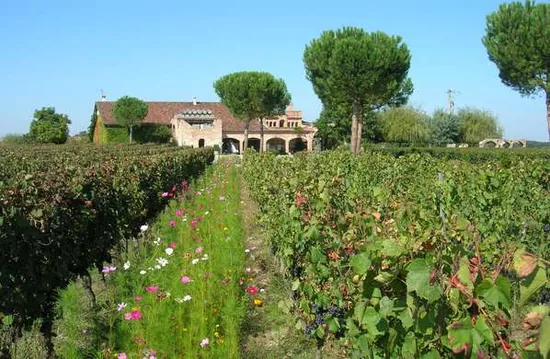 Château Saint Louis à Labastide-Saint-Pierre, Tarn-et-Garonne (82)