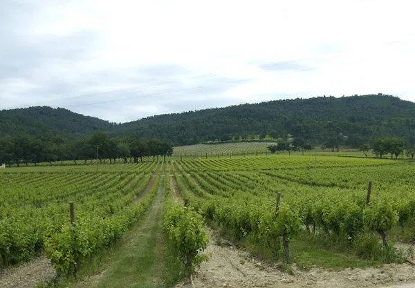 Château la Coste à Le Puy-Sainte-Réparade, Bouches-du-Rhône (13)