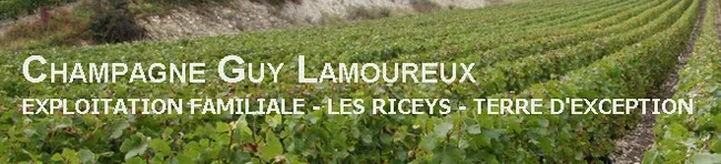 Champagne Guy Lamoureux à Les Riceys, Aube (10)