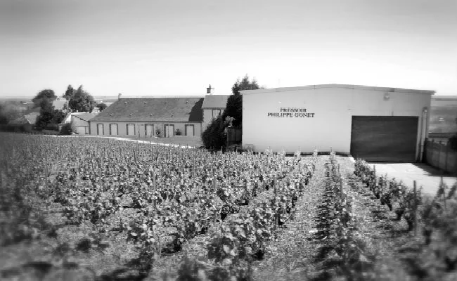 Champagne Philippe Gonet à Le Mesnil-sur-Oger, Marne (51)