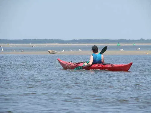 Club de Kayak de Mer et de Va'a de la Baie des Phoques à Saint-Valery-sur-Somme, Somme (80)