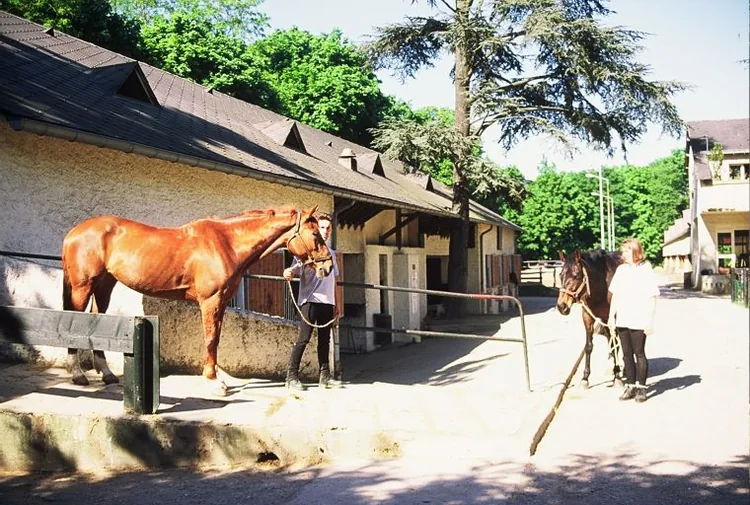 Club hippique des Etangs à Meudon, Hauts-de-Seine (92)