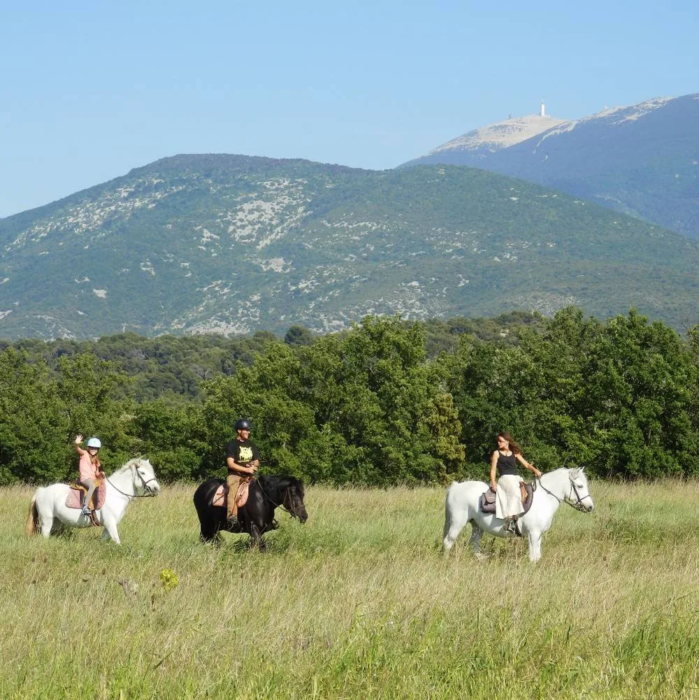 Corambé Balades à Cheval à Entrechaux, Vaucluse (84)