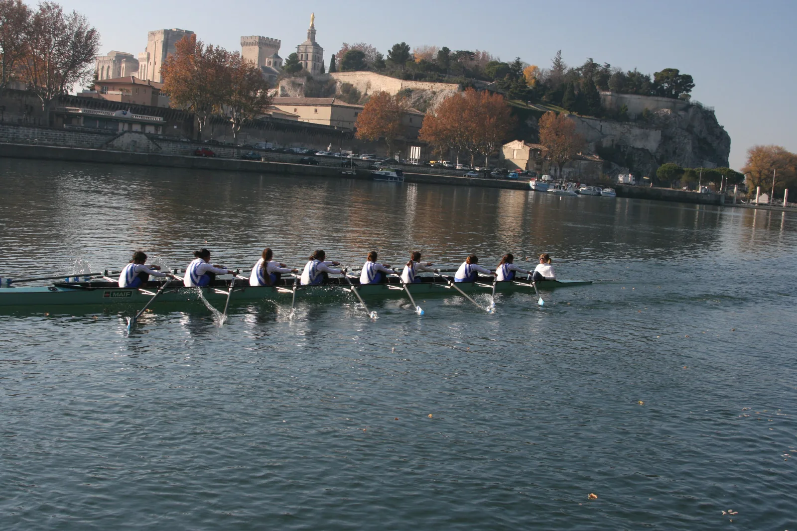 Comité Départemental des Sociétés d'Aviron de Vaucluse en Avignon, Vaucluse (84)