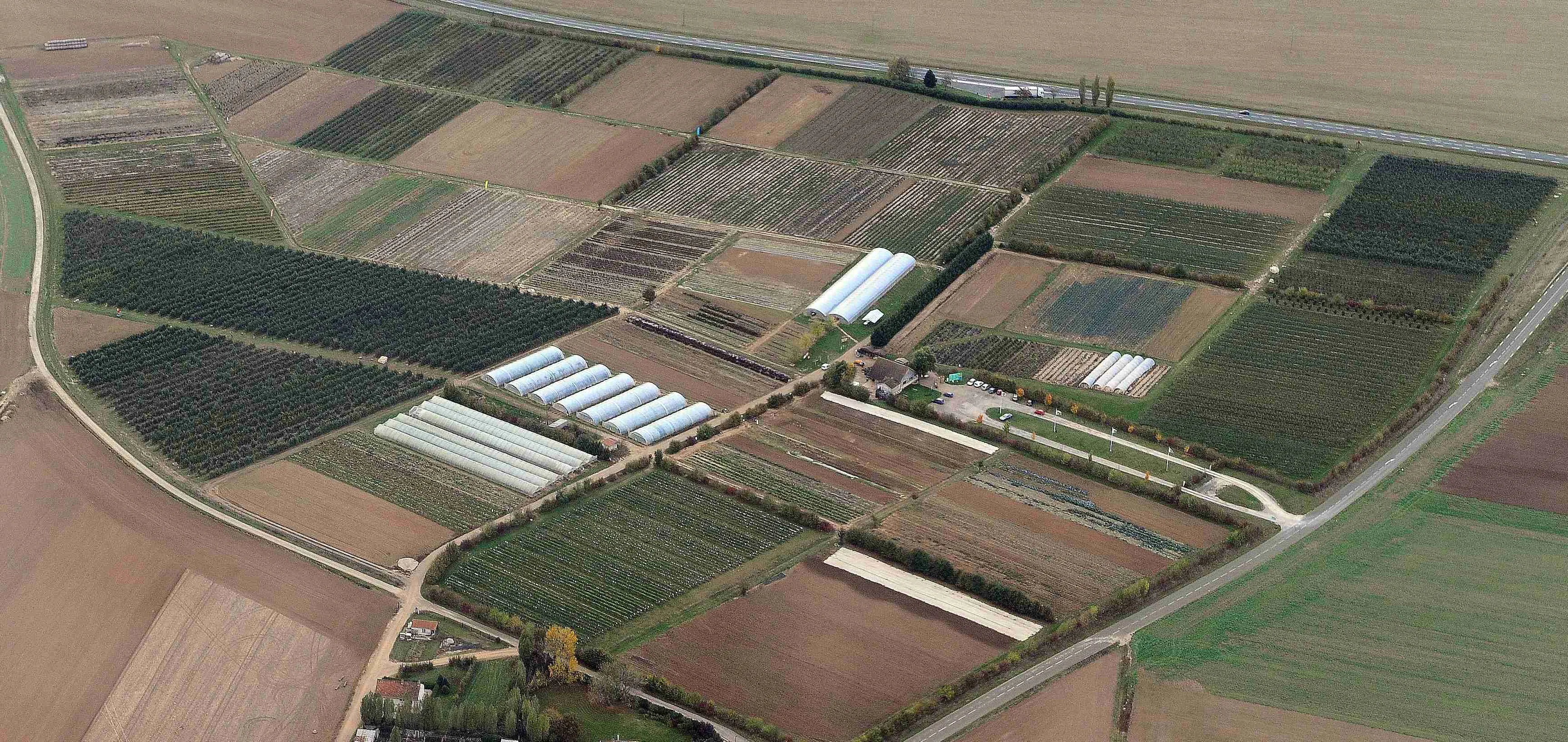 Cueillette de Seresville