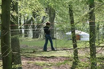 D'Arbre en Arbre à Fécamp, Seine-Maritime (76)
