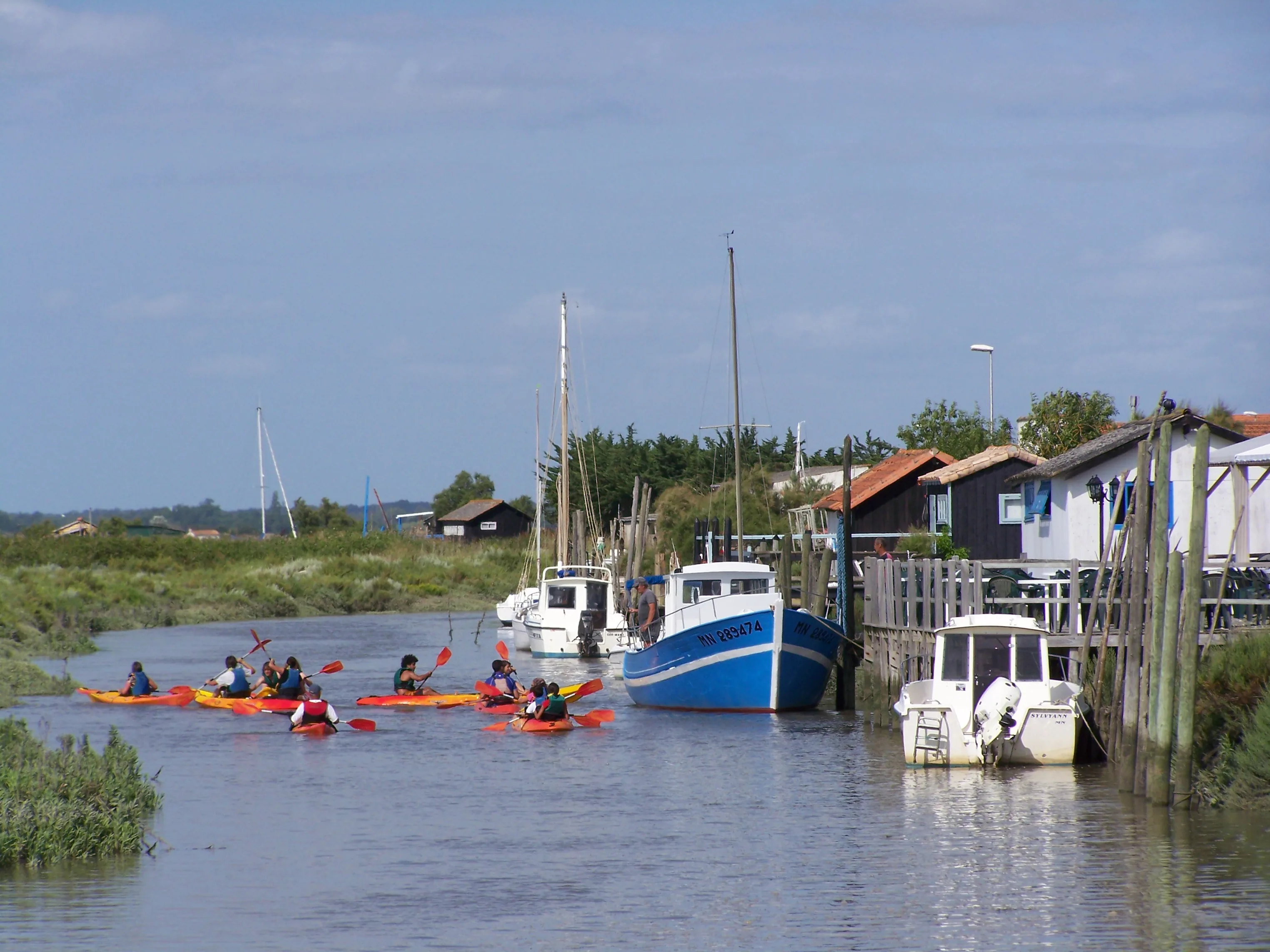 Kayak et Nature en Seudre à Mornac-sur-Seudre, Charente-Maritime (17)