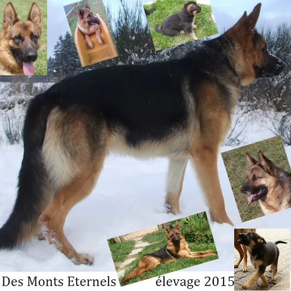 Des Monts Eternels à Sauvessanges, Puy-de-Dôme (63)
