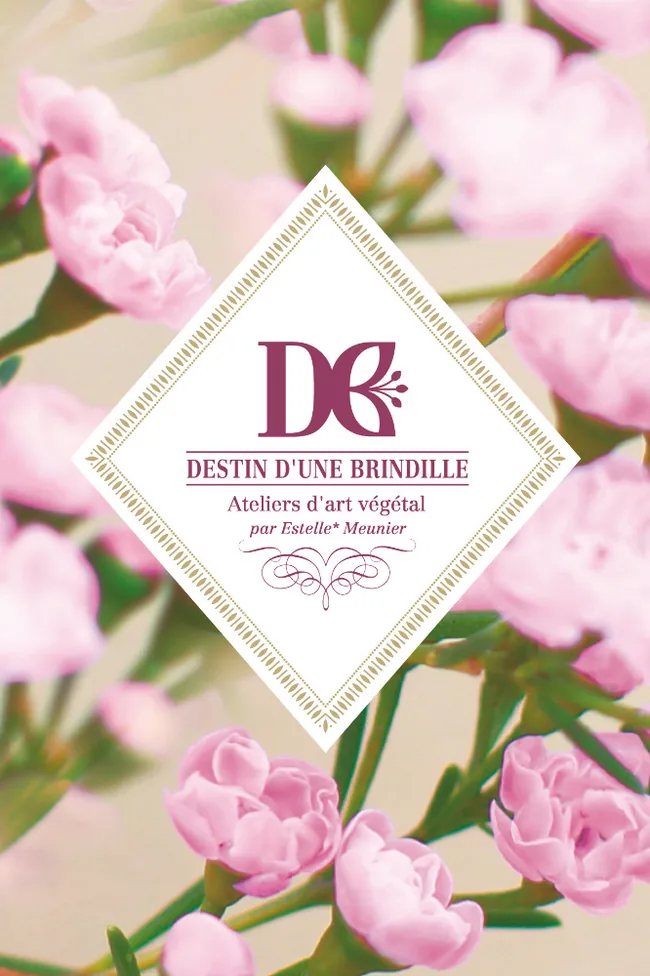 Destin d'une Brindille à Dijon, Côte-d'Or (21)