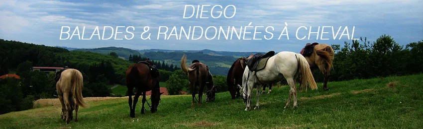 Diego, Balades et Randonnées à Cheval à Rovon, Isère (38)
