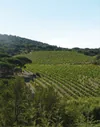 Domaine la Tourraque à Ramatuelle, Var (83)
