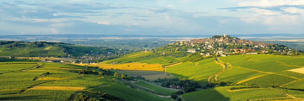 Domaine Joseph Mellot à Sancerre, Cher (18)