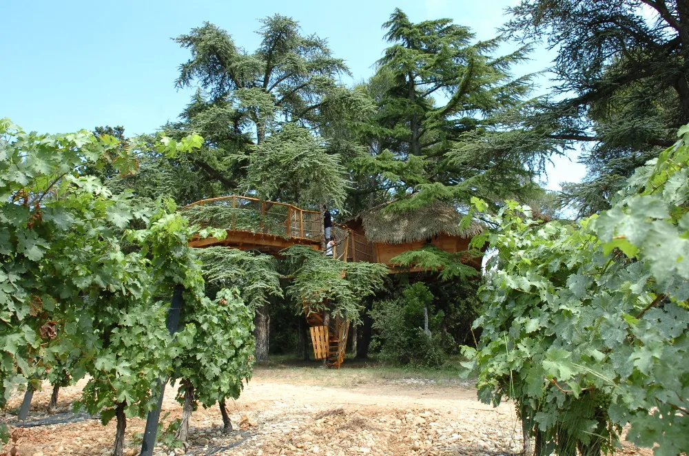 Domaine Saint Jean de l'Arbousier à Castries, Hérault (34)
